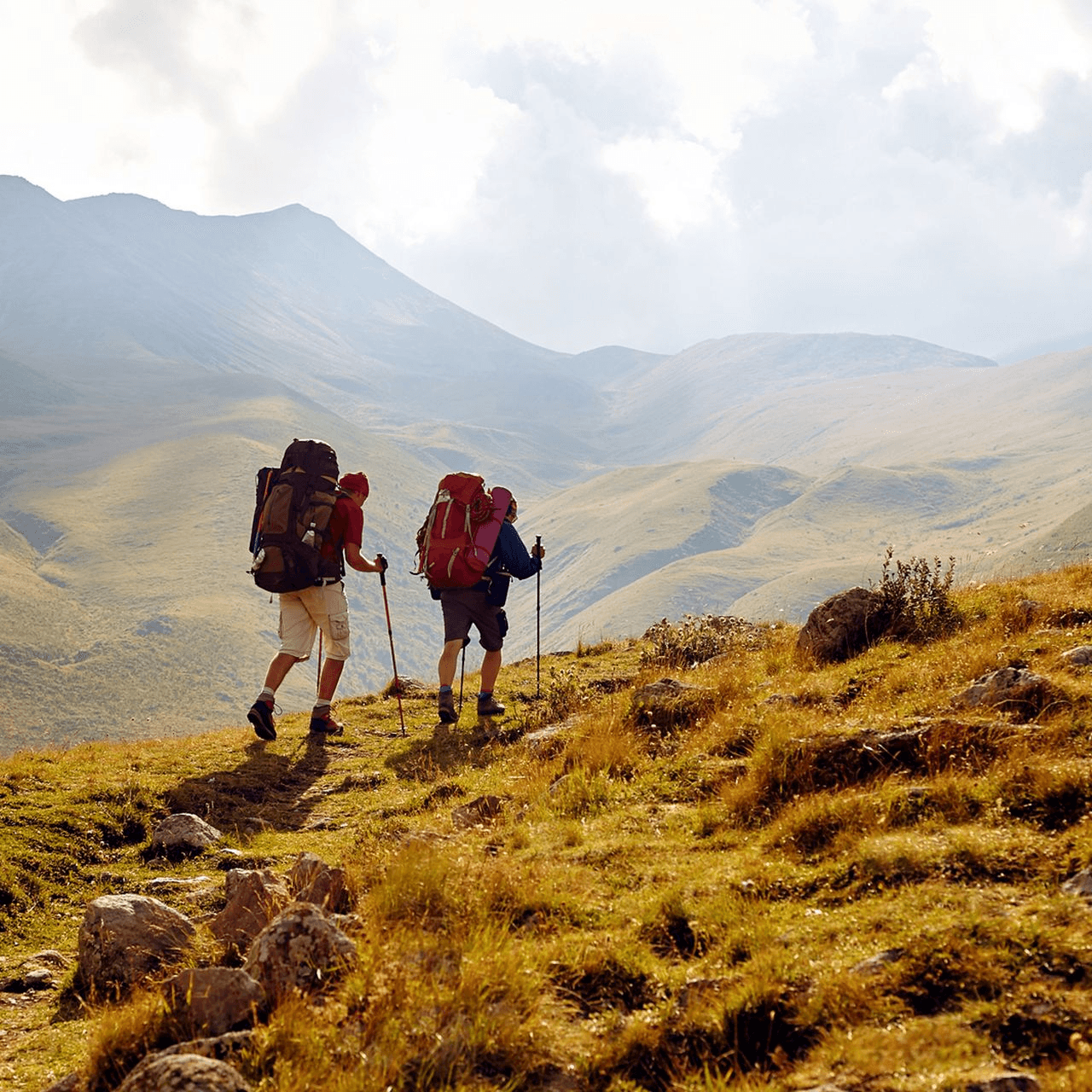 professionele coaching