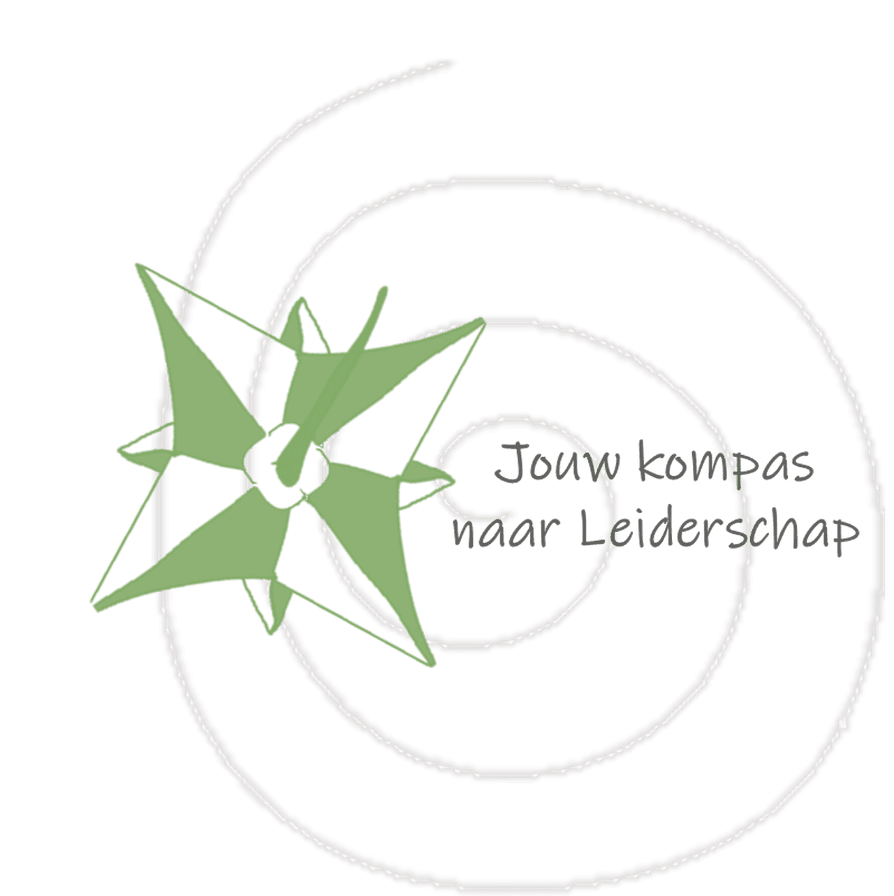 kompas leiderschap